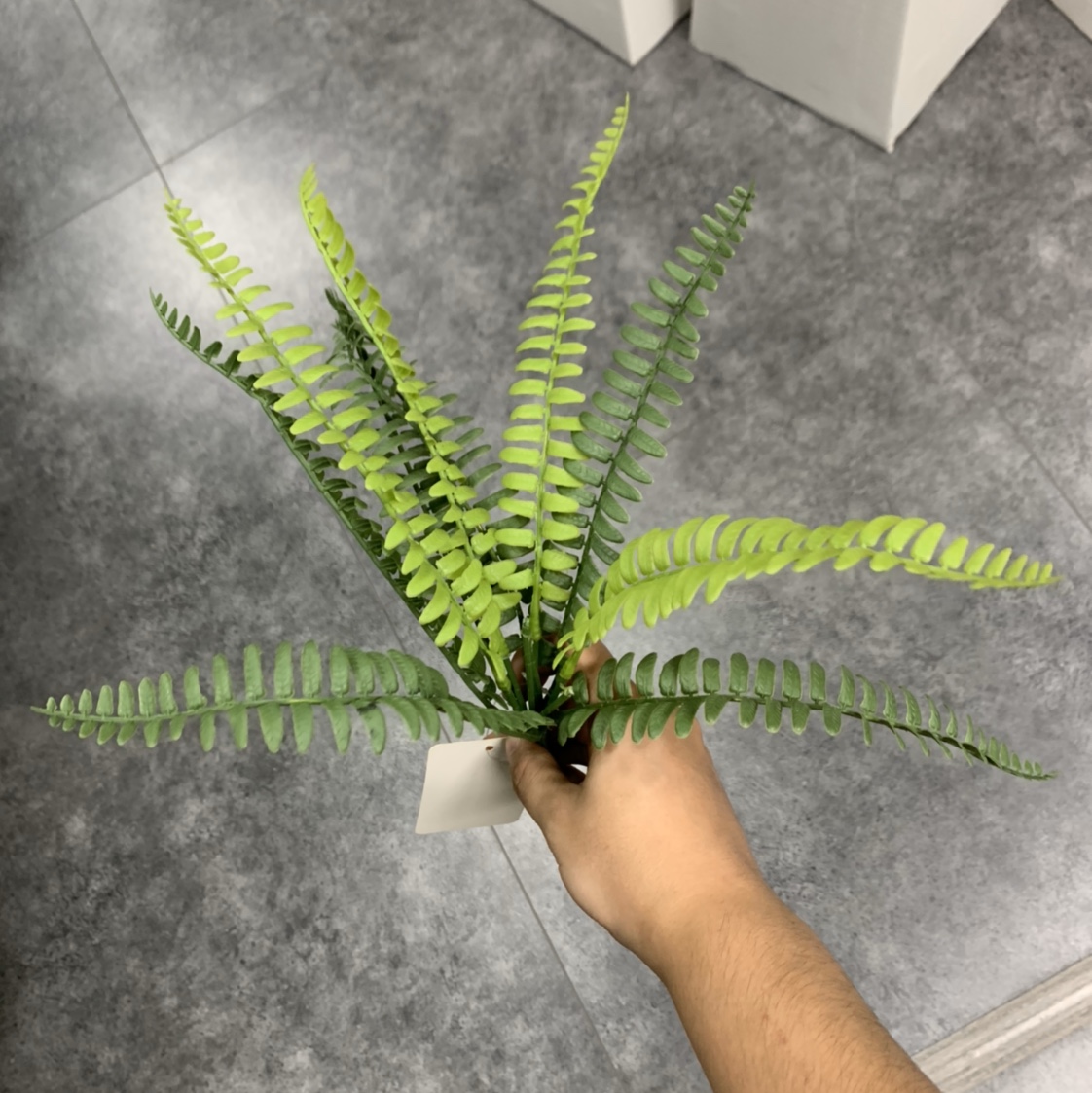Simulation plant green plant potted home put floor green plant plastic grass 12 thumbnail