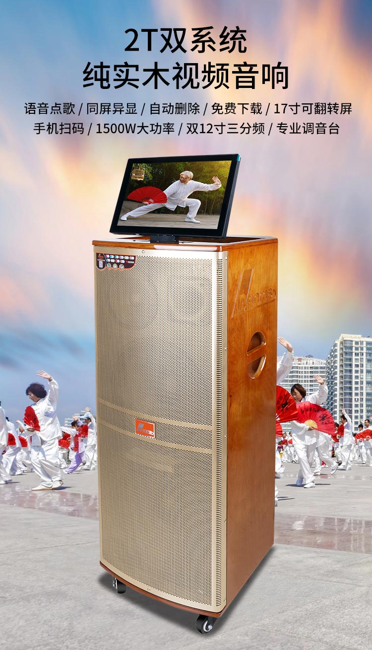 丹唛仕户外K歌音响套装带显示屏点歌移动KTV三分频大功率视频音箱