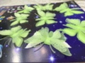 夜光大号立体蝴蝶细节图