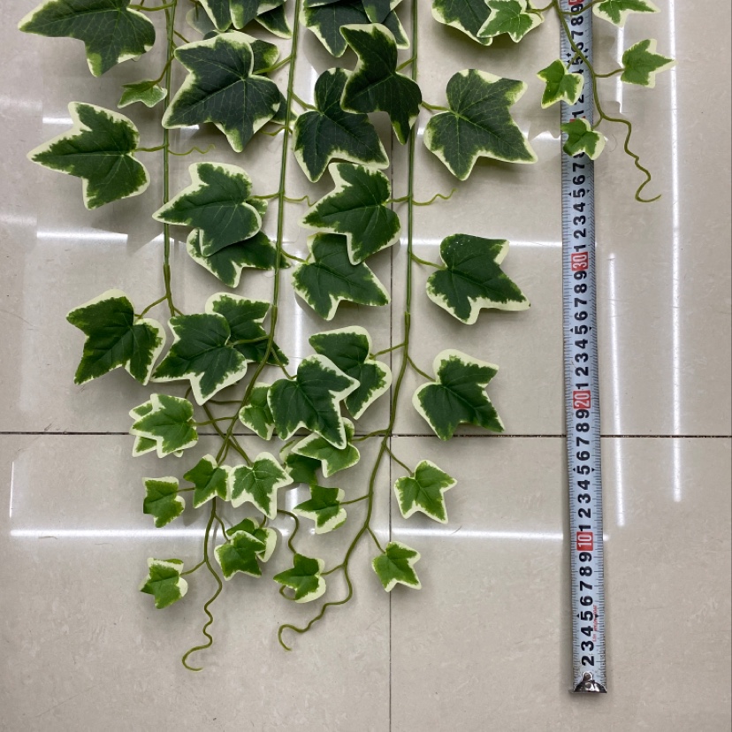 125-leaf sweet potato leaves details Picture