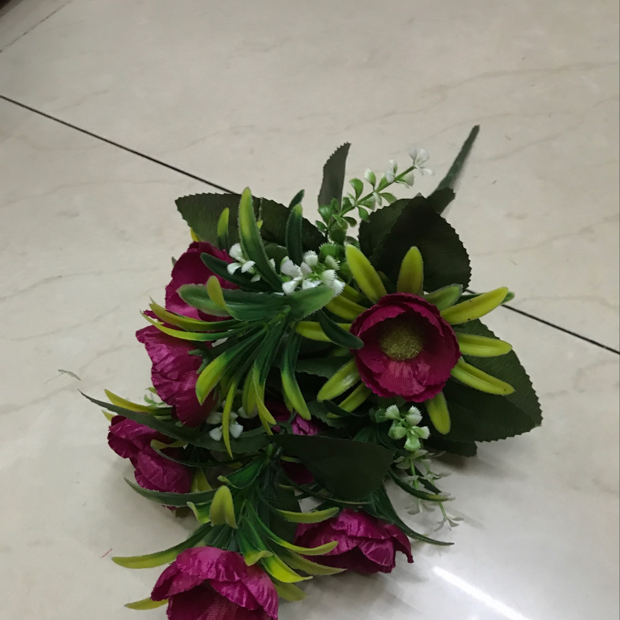 7头二层菊