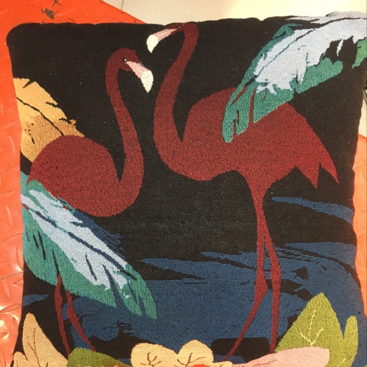 火烈鸟