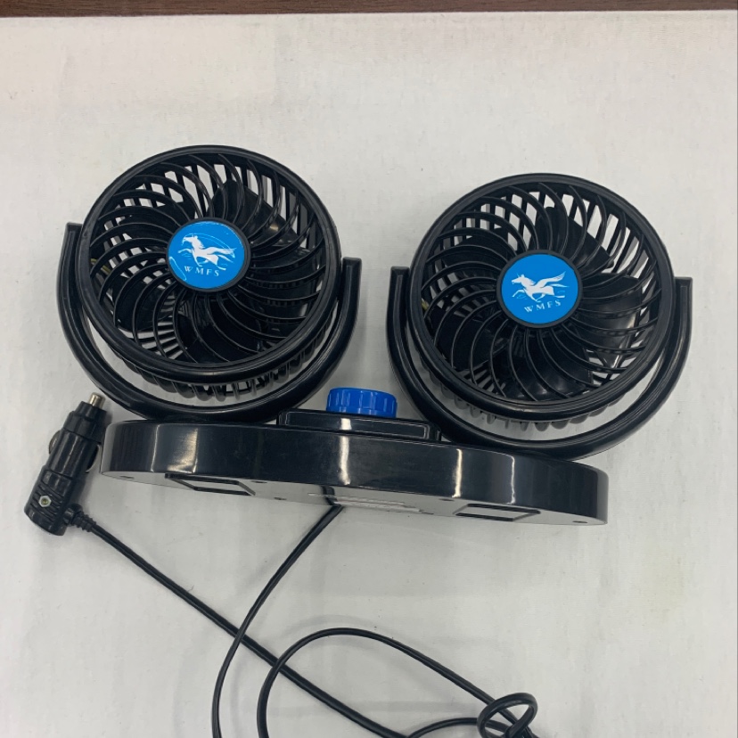 Automobile fan full figure