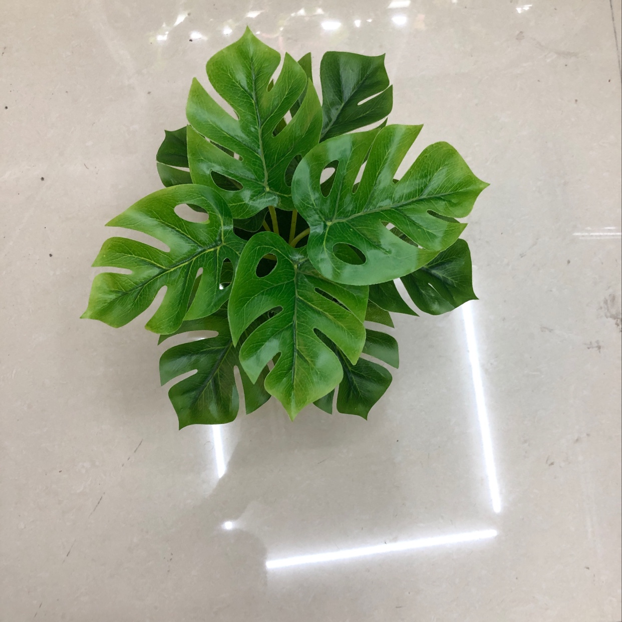 Nine imperial concubine leaves details Picture