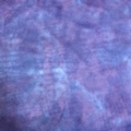Crocodile pattern short plush dinosaur pattern fabric block tie-dye factory direct sales undefined