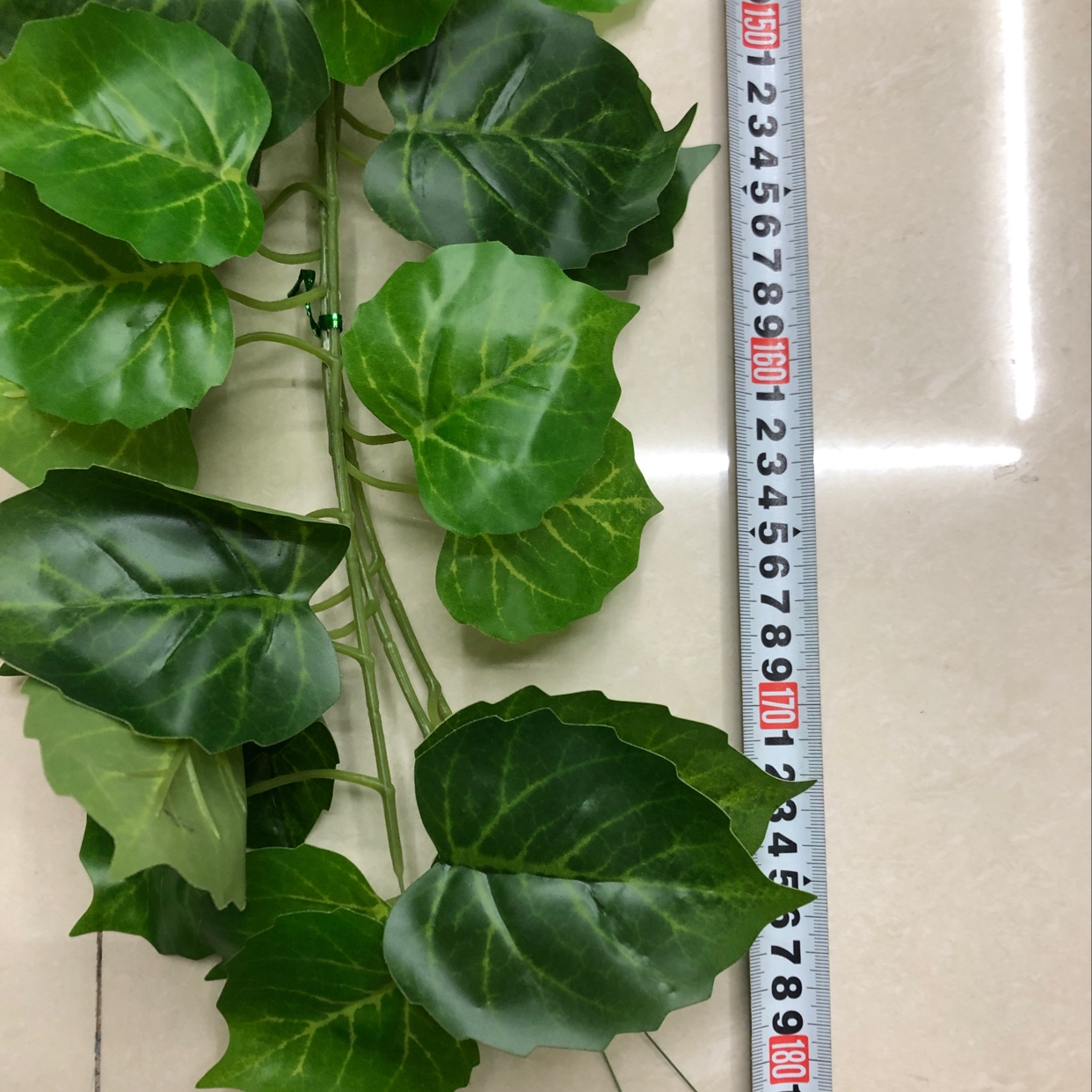 Climbing ivy vines Application Scenario
