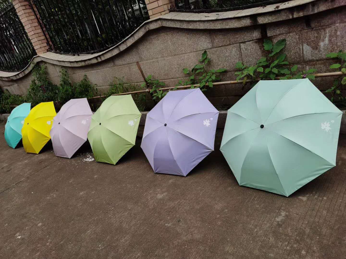 雨伞实物图
