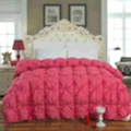 Youdaoplaceholder0 white goose down quilt (red) details Picture