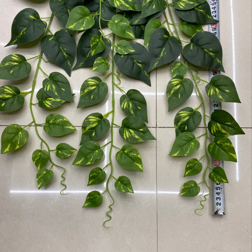 The 125-leaf green heart evergreen details Picture