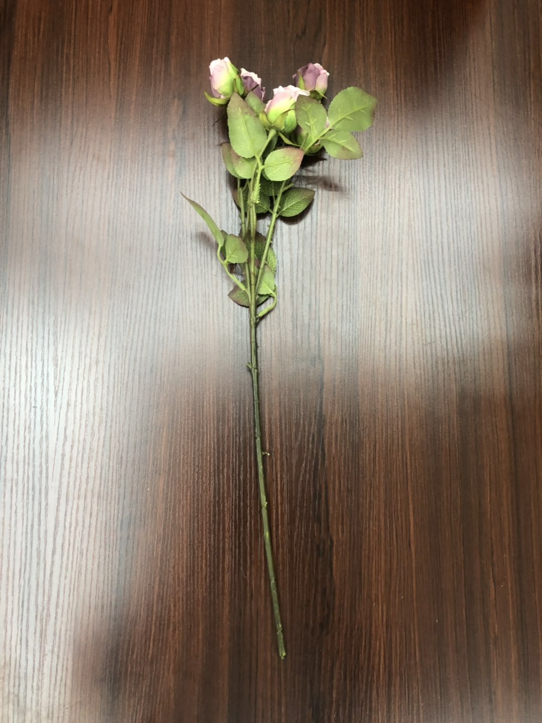 Seven little roses