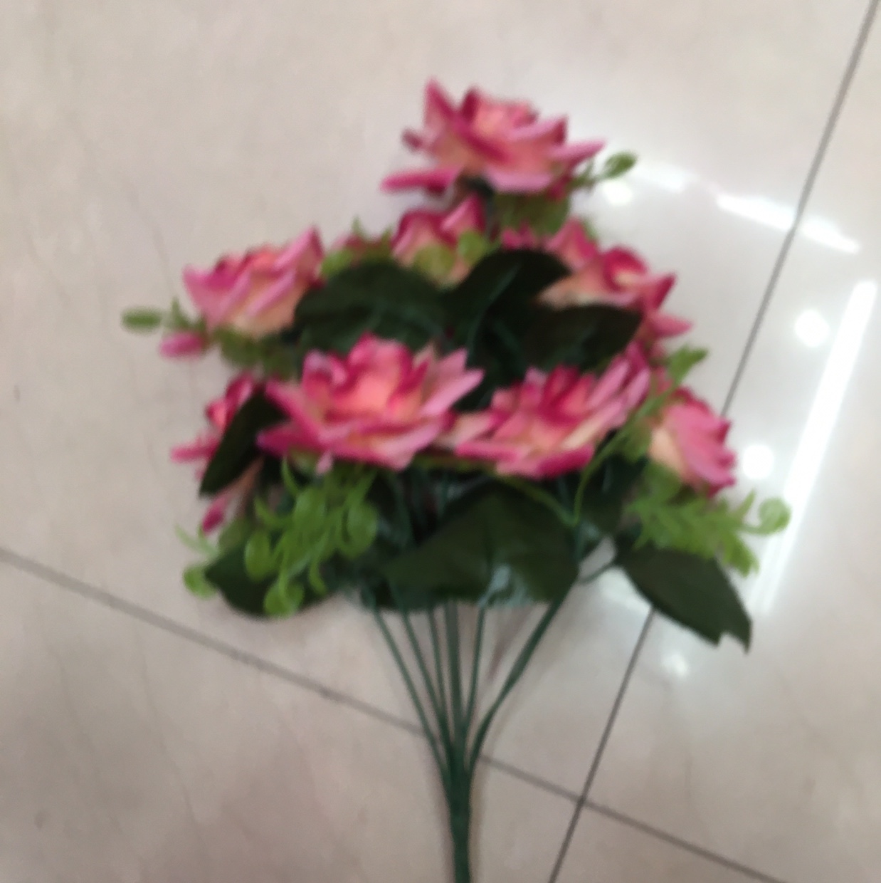 卷边玫