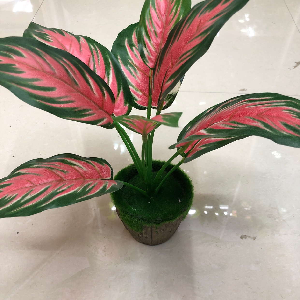 Nine red-edged long leaves