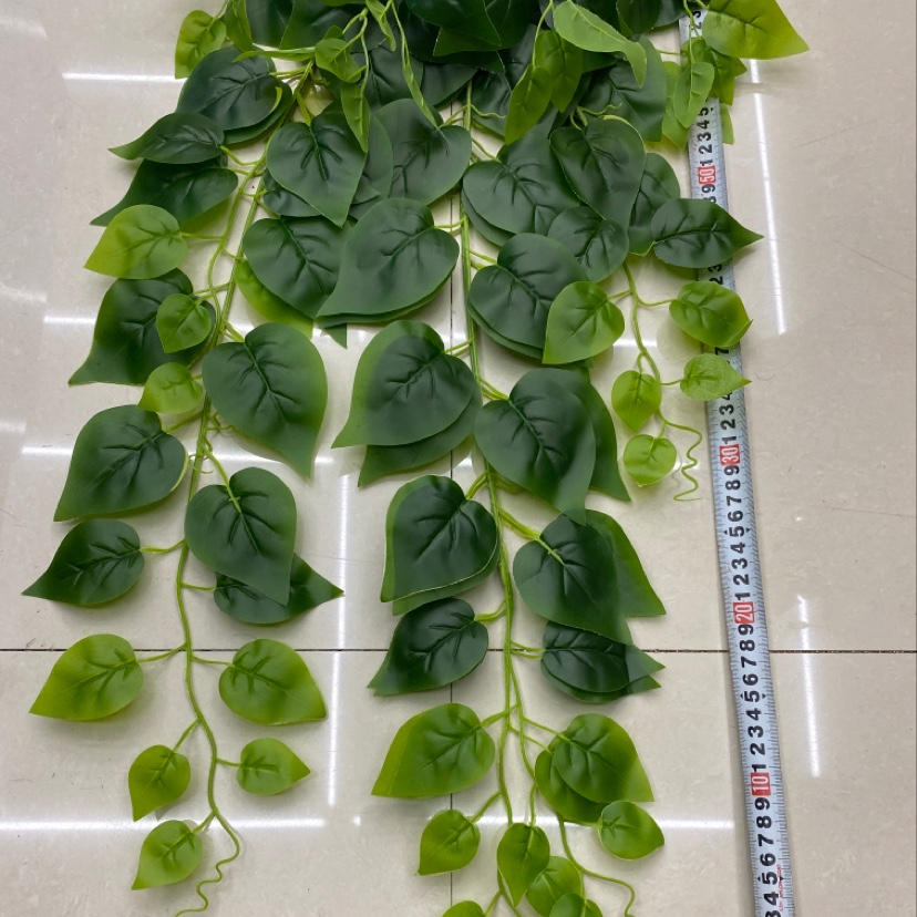 125 Rubber leaf green vine leaves details Picture