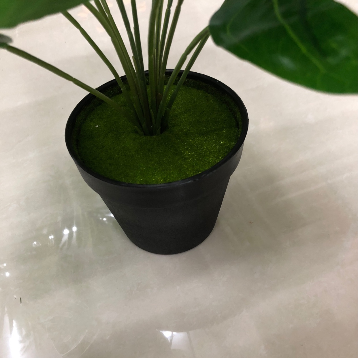 خمسة عشر سلحفاة Specification image