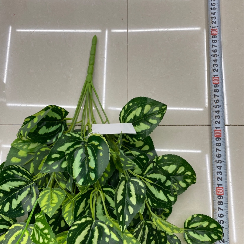 125 rubber leaf large pattern cold water leaf Specification image