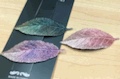 Korean fresh girl embroidered leaf bangs, BB clips, elegant gradient broken hair clips, side clips Specification image