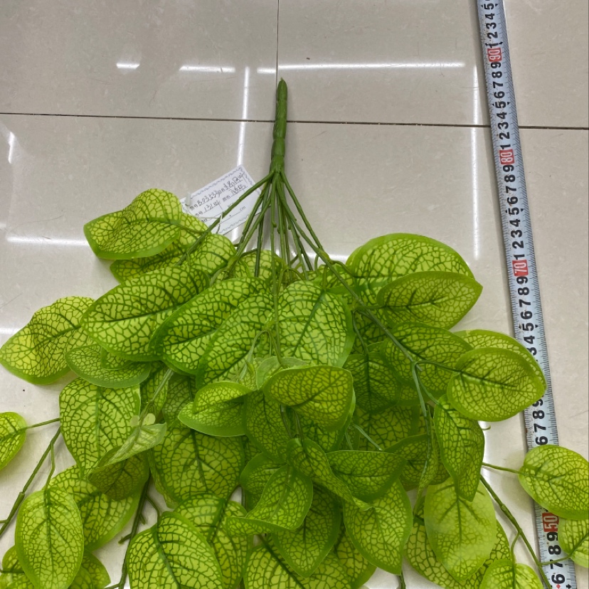 125 rubber leaf green mesh leaf Specification image