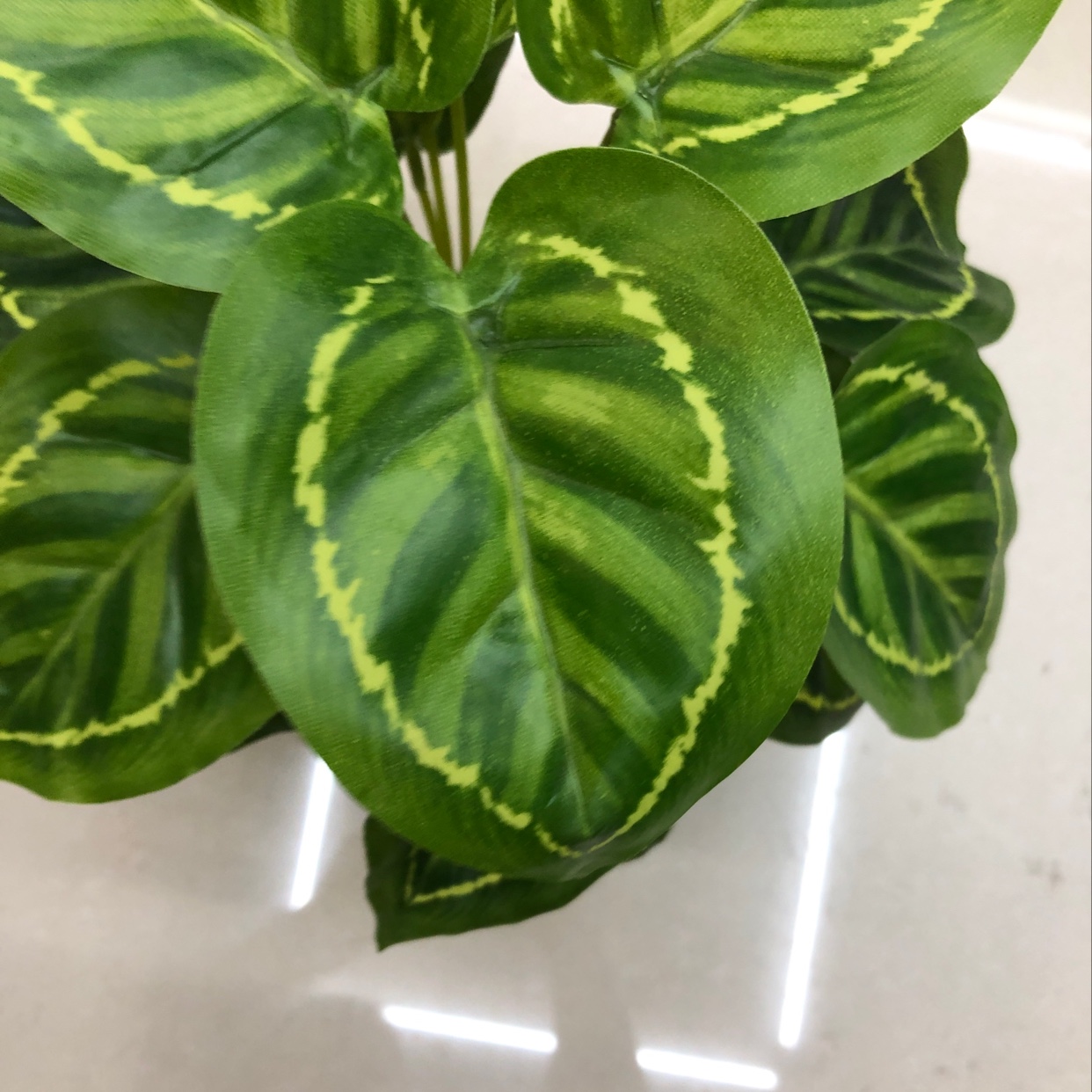 18 green peacock leaves Application Scenario