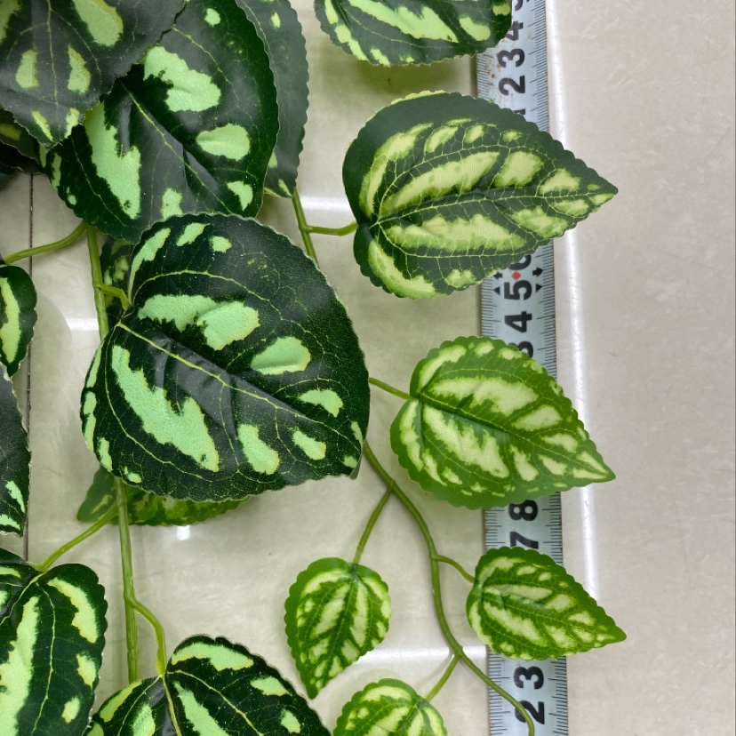 125 rubber leaf large pattern cold water leaf Application Scenario