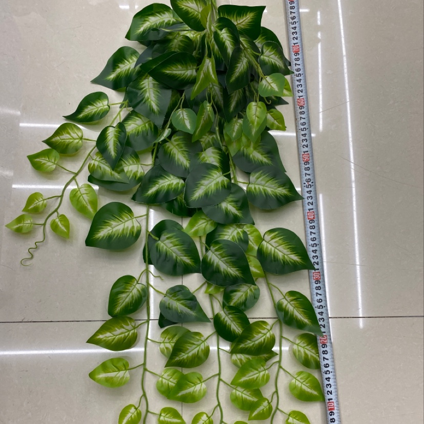125 gel leaf bicolor Perilla leaves