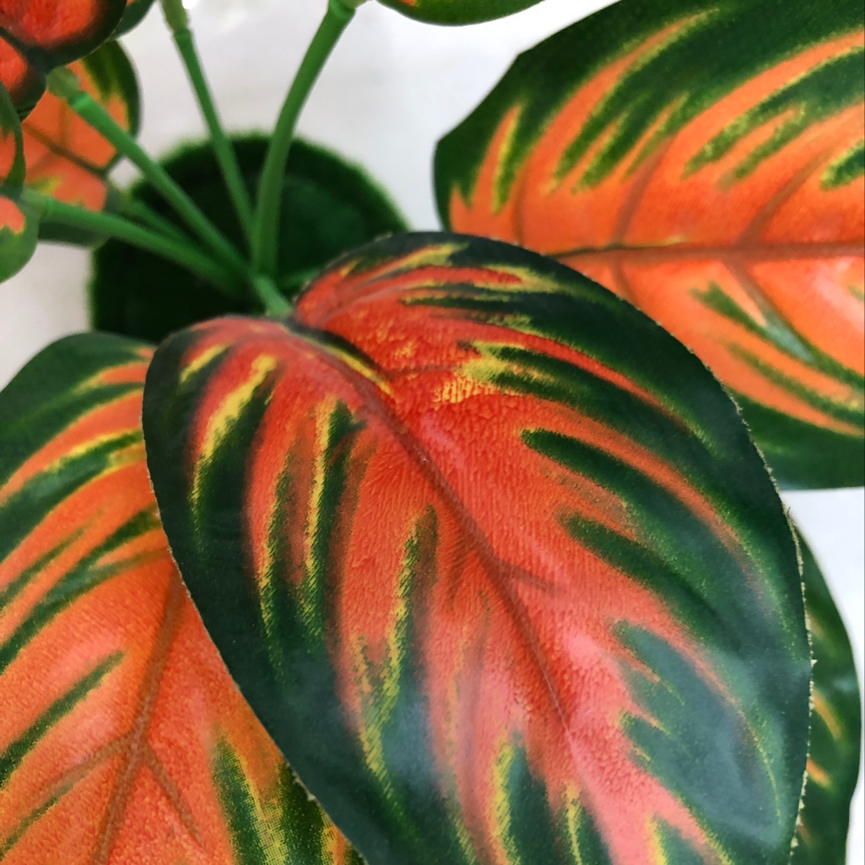 其他分类实物图