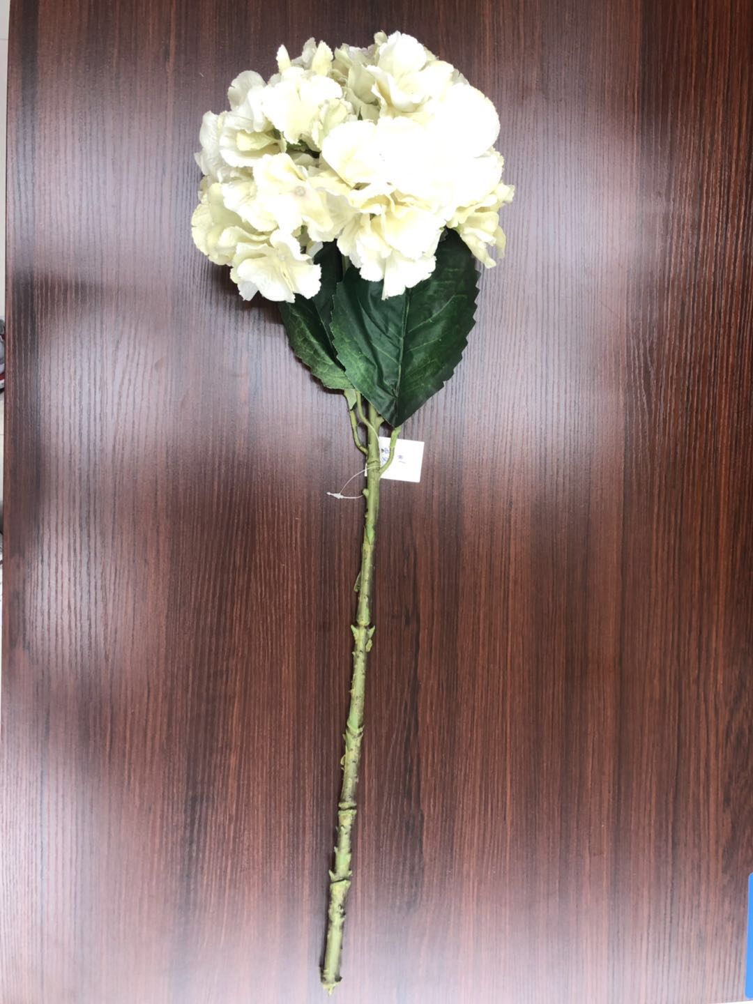 هايدس الكبيرة detail image 1