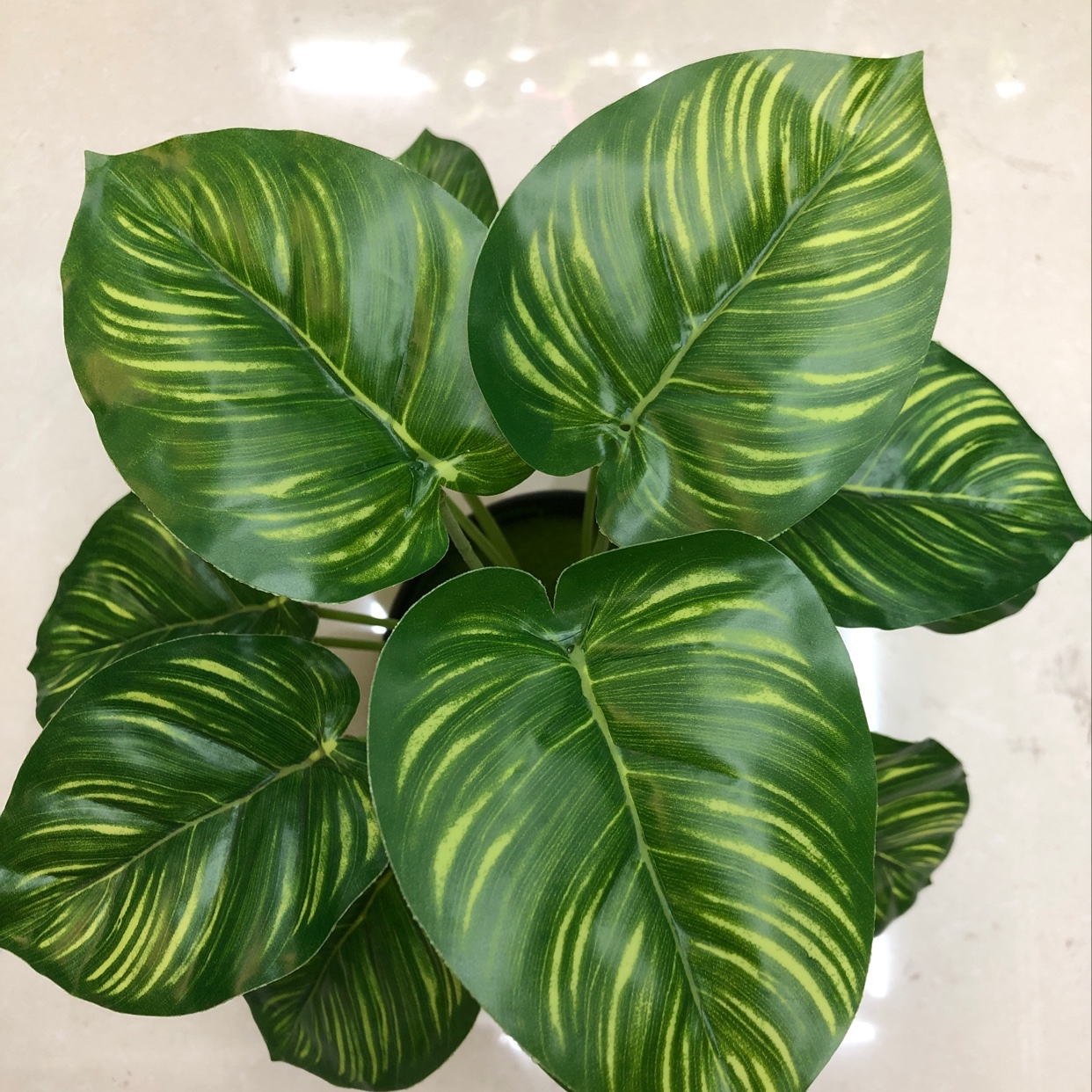 Eighteen green lilies details Picture