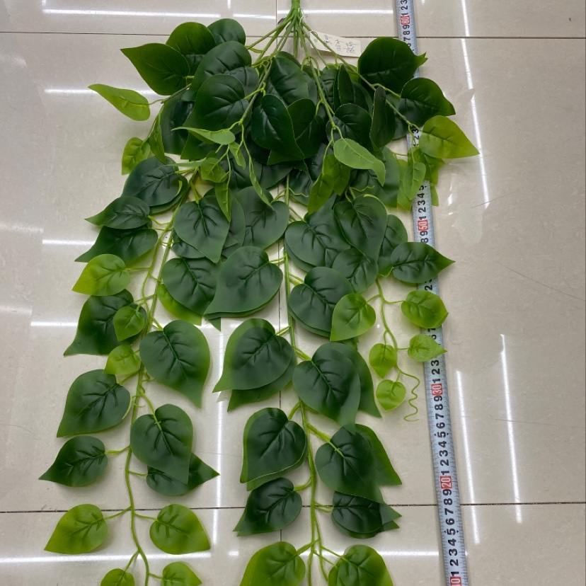 125 Rubber leaf green vine leaves