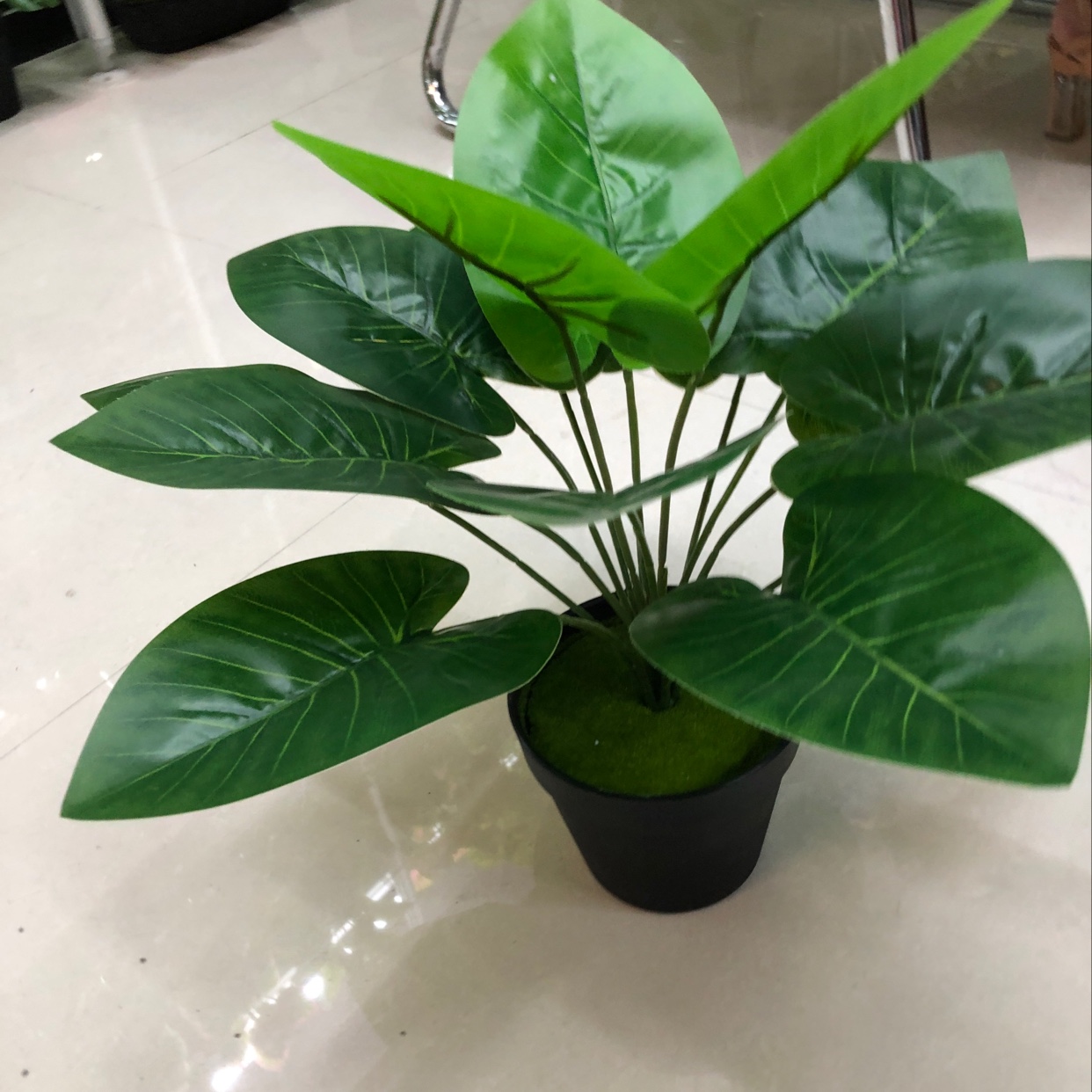 佛像/神像实物图