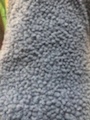 Small particle wool, small curly wool, circle plush, raccoon fabric, lamb wool, small ball, short wool, Altai single-sided Application Scenario