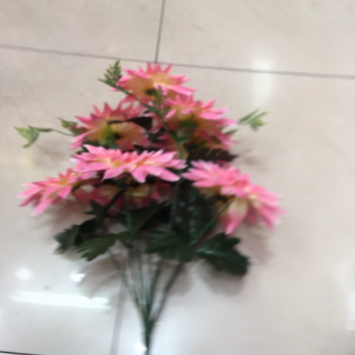小莲