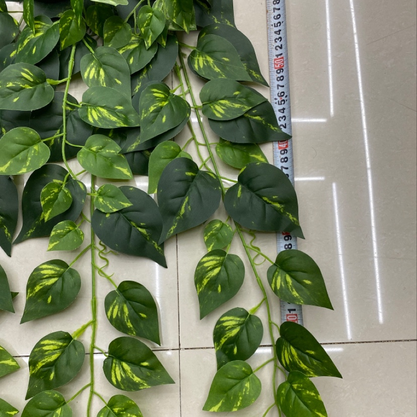The 125-leaf green heart evergreen Application Scenario