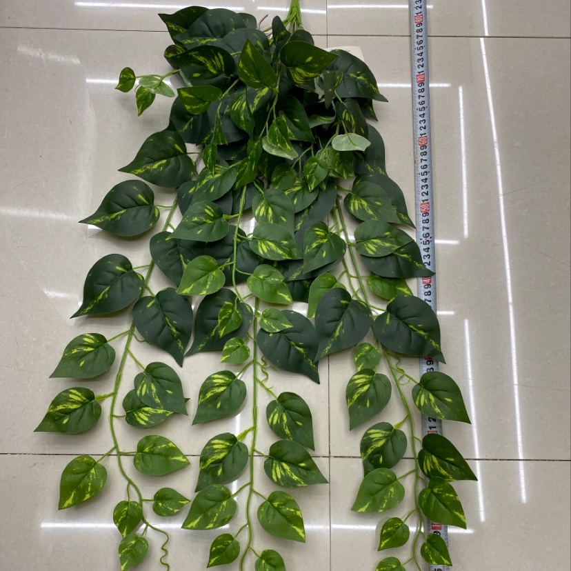 The 125-leaf green heart evergreen