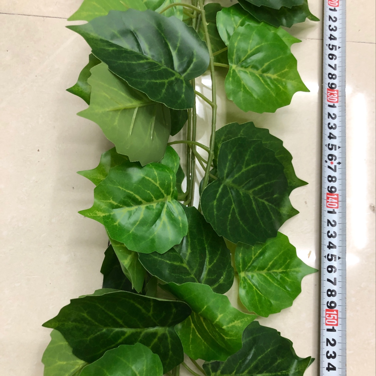 Climbing ivy vines Specification image