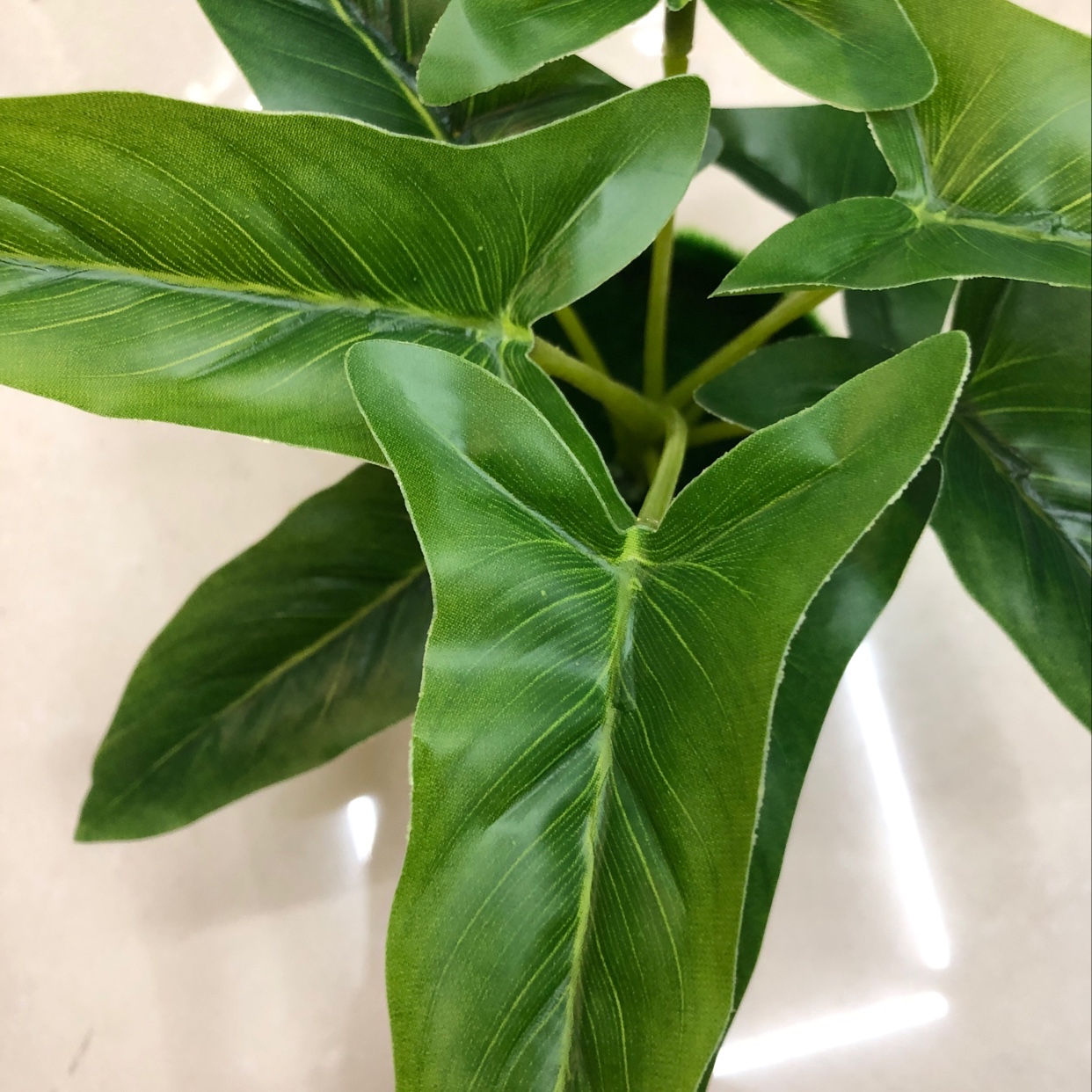 Nine long leaves Application Scenario