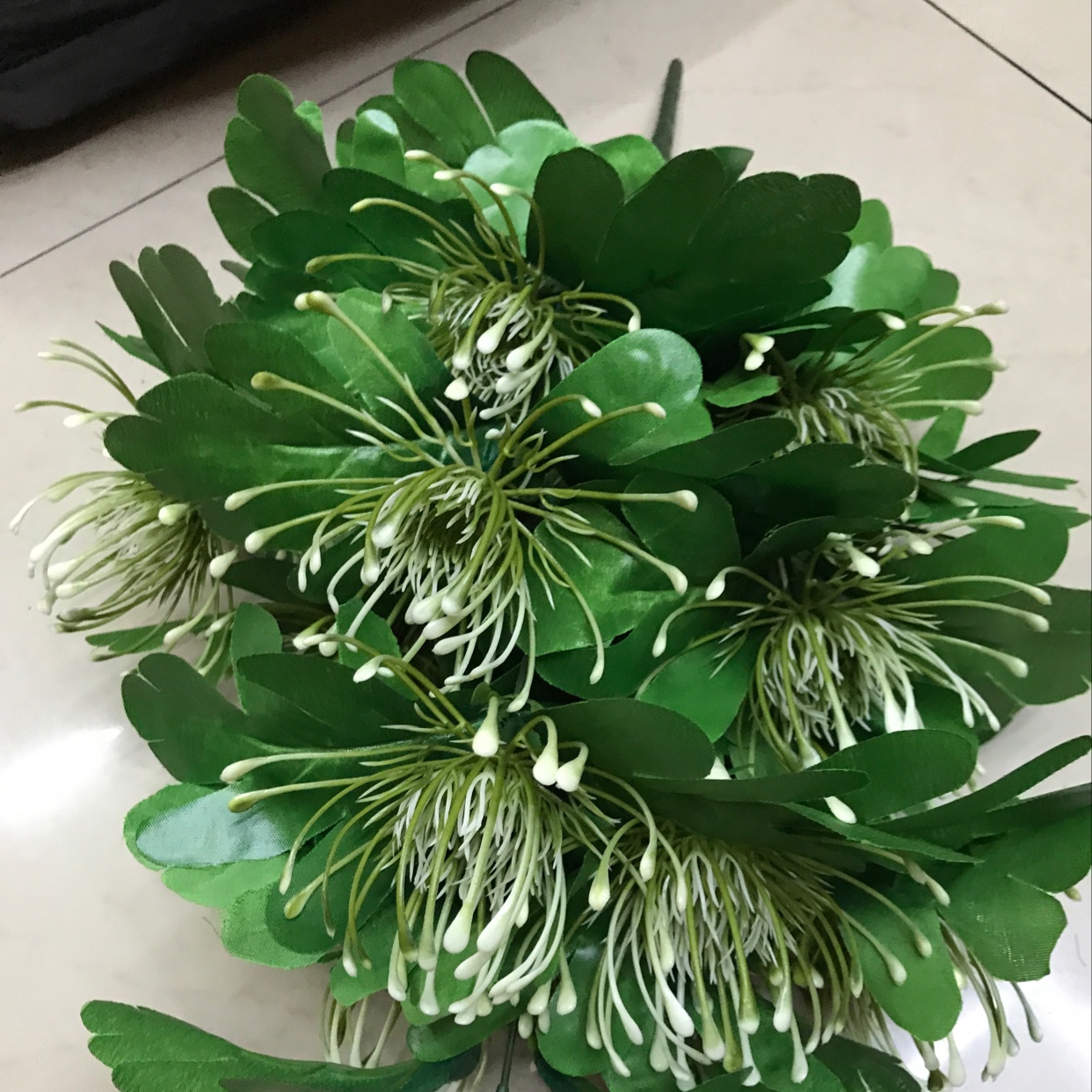 18头凤尾