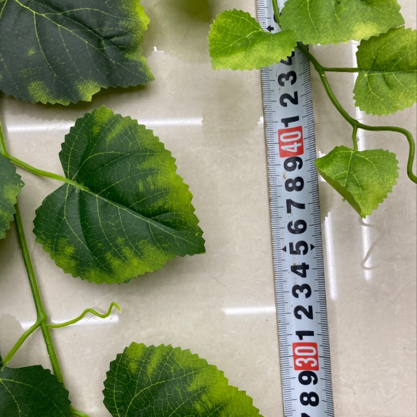 125. Cotyledons Application Scenario
