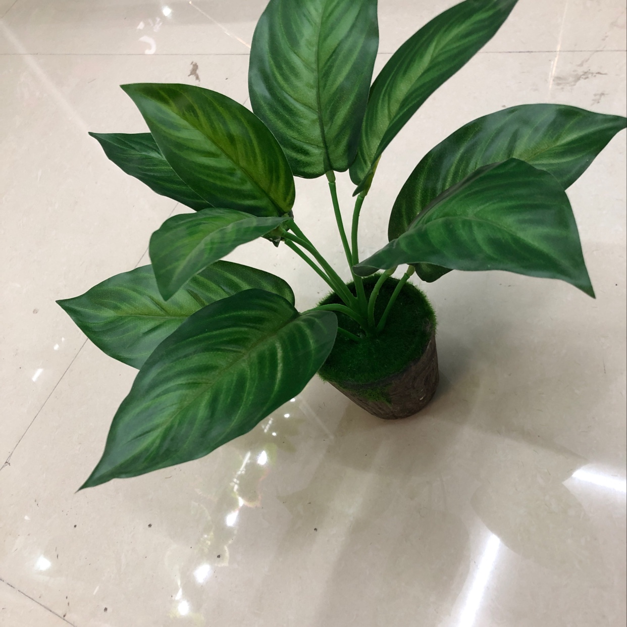 تسعة ورقات خضراء طويلة Specification image