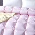 Youdaoplaceholder0 white goose down quilt Specification image