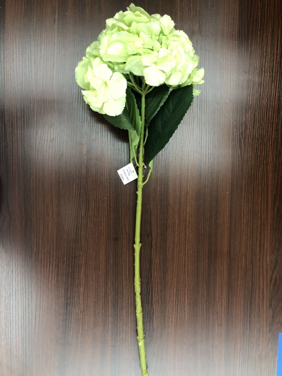 هايدس الكبيرة detail image 6