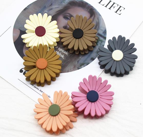 Little Daisy Korean version ins matte color hair clips, hair ties, hair clips, elegant female ponytail clips, hair accessories details Picture