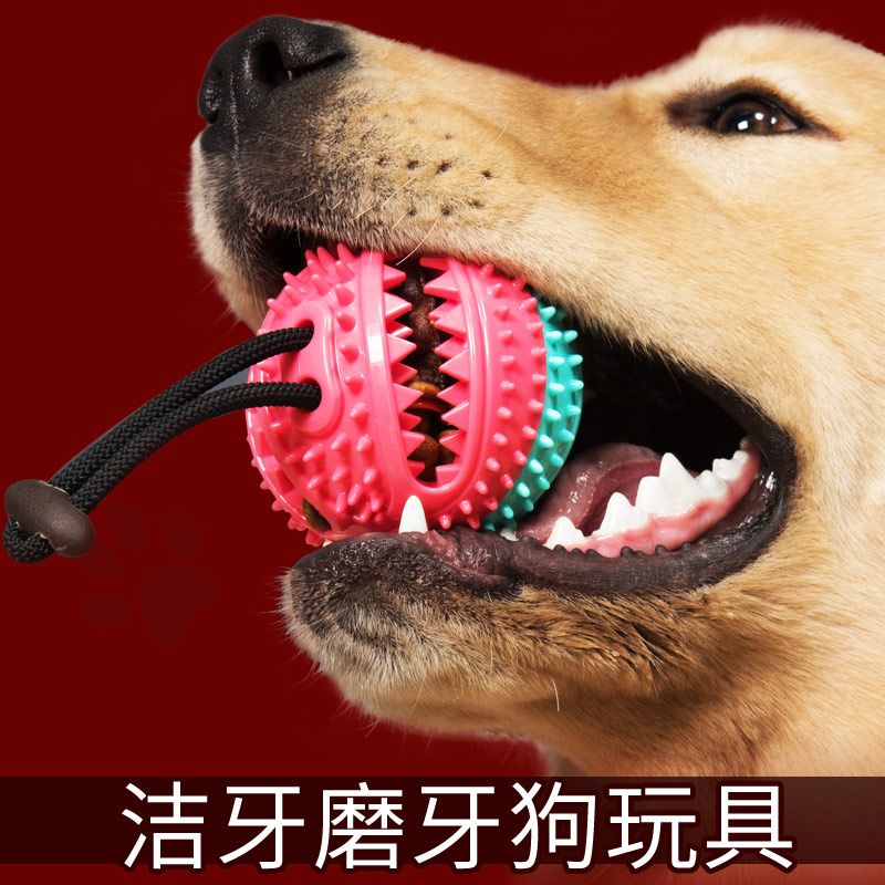 宠物狗狗玩具 漏食球橡胶磨牙耐咬铃铛发声球 宠物用品亚马逊爆款