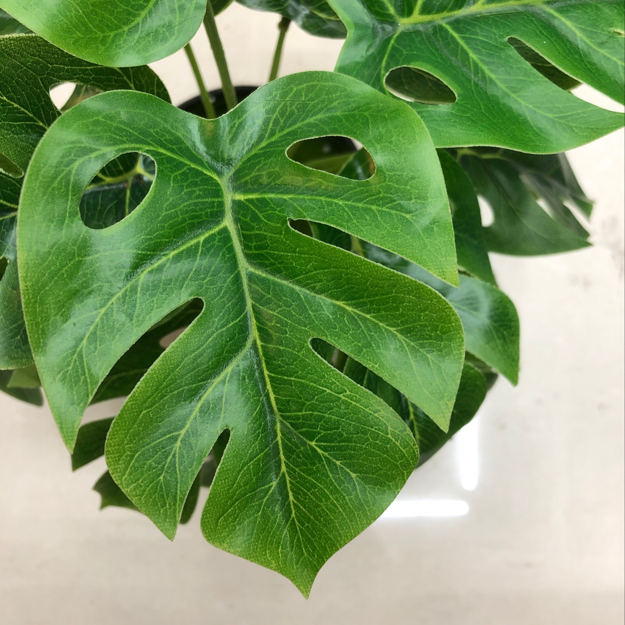 其他分类实物图