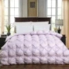 Youdaoplaceholder0 white goose down quilt (light purple) details Picture