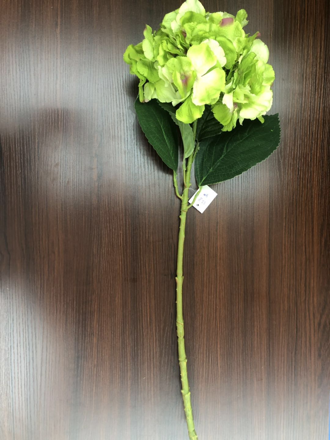 هايدس الكبيرة detail image 11