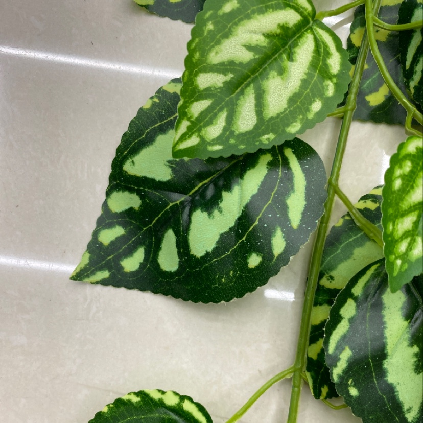 125-leaf adhesive tape cold water leaf Application Scenario