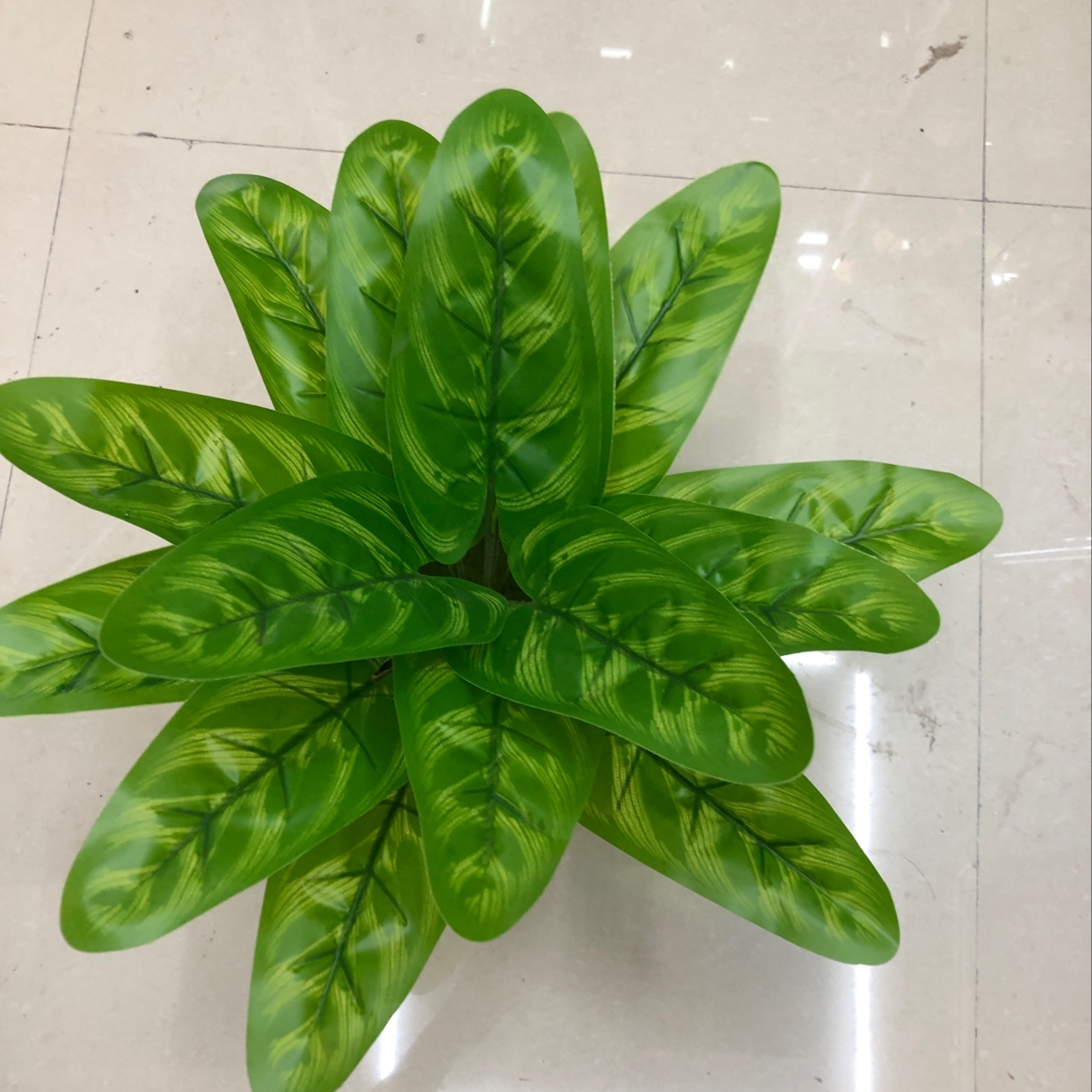 It has 15 long leaves details Picture