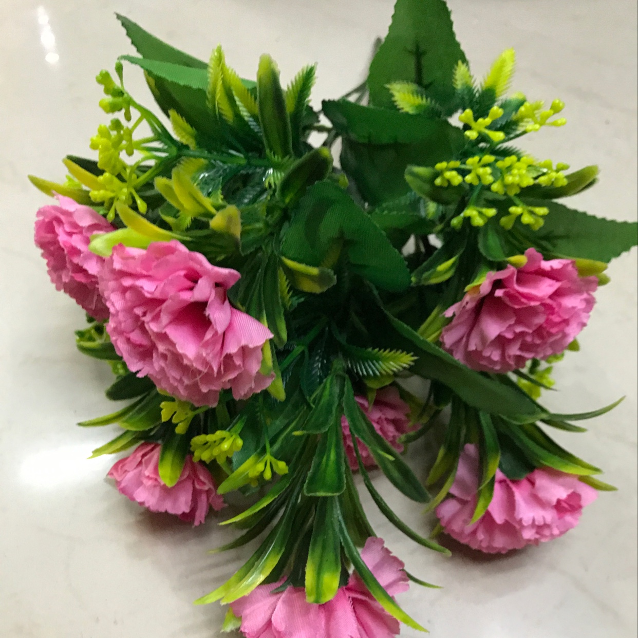 7头小康乃星