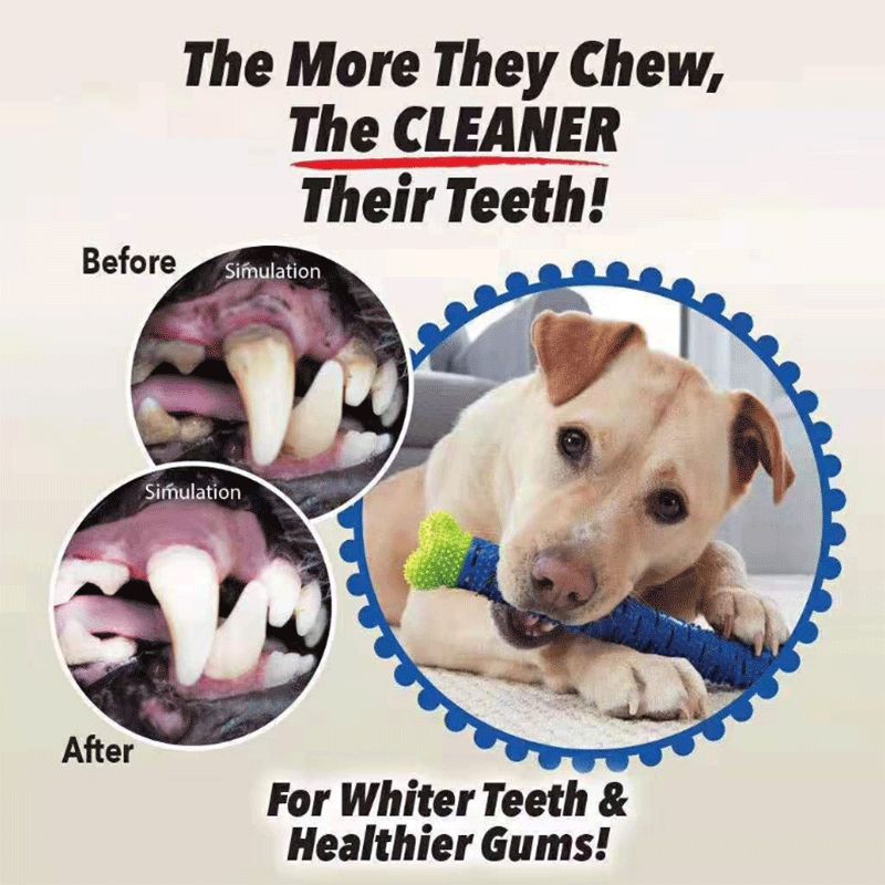 Dog Toothbrush 宠物狗牙刷Chewbrush宠物狗狗磨牙棒牙齿清洁玩具详情图3