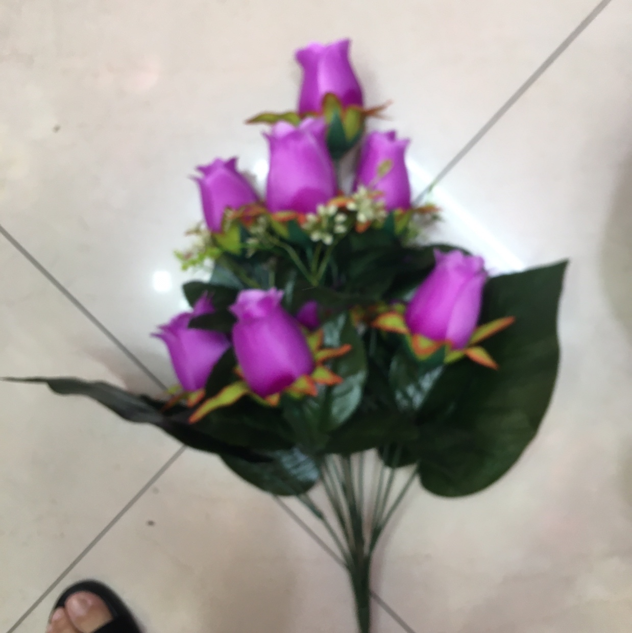秋蕾